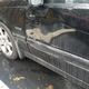 Illustration for article titled Everything wrong with my $2000 Volvo